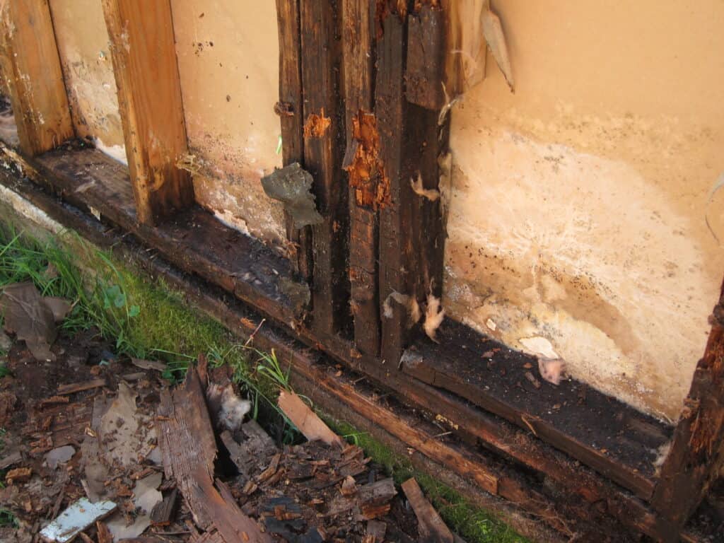 water damage3