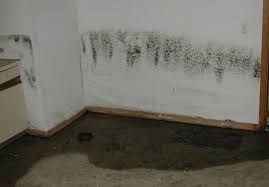water damage6