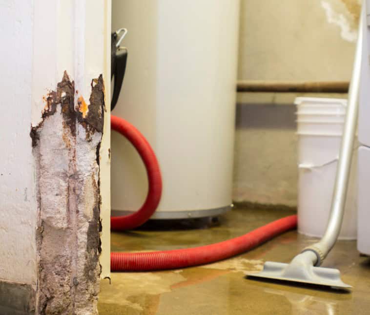 How Time Machine Contracting & Restoration Responded to Our Emergency