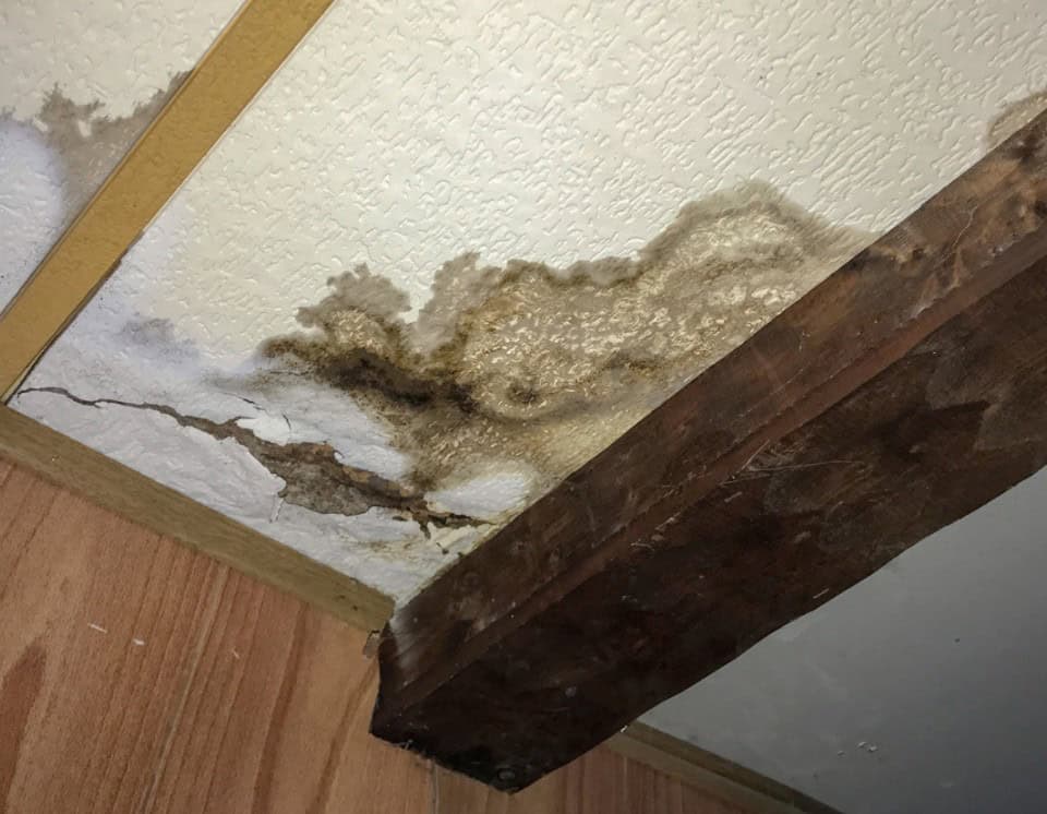 How Long Does Water Restoration Take in Orlando, FL