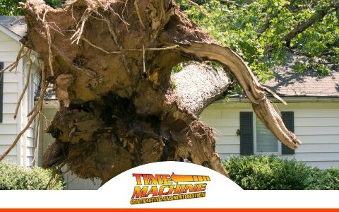 Orlando Storm Damage