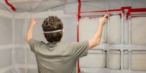 Can I Do My Own Mold Remediation