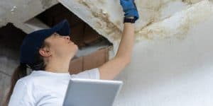 Where to Check for Water Damage in Orlando, FL